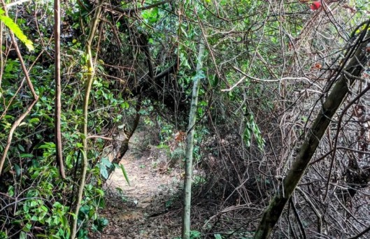 Belungkor Hill Hiking